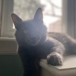 Meet your Posher, Jack